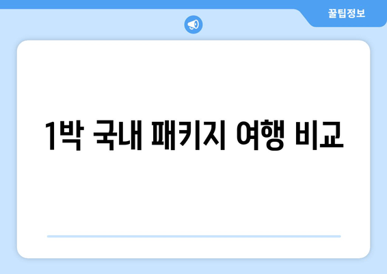 1박 국내 패키지 여행 비교