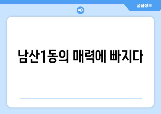 남산1동의 매력에 빠지다