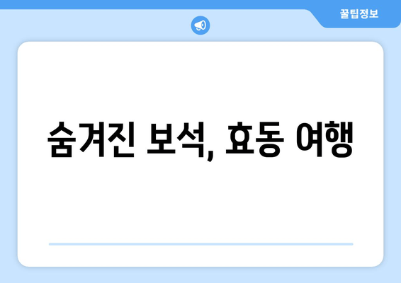 숨겨진 보석, 효동 여행