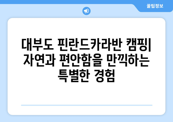 대부도 핀란드카라반 캠핑| 자연 속 낭만과 편안함을 만끽하다 | 캠핑 장소 추천, 예약 정보, 즐길 거리