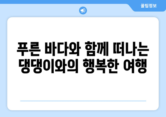 거제도 반려견과 함께 떠나는 행복한 여행| 베일리 펜션 애견 숙소 추천 | 거제도 애견 동반 여행, 펜션, 숙소, 추천, 가이드