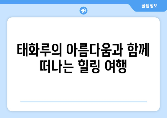 여수 태화루에서 힐링 휴식, 조용하고 편안한 시간을 위한 완벽 가이드 | 여수 여행, 태화루, 숙소 추천, 힐링, 휴식