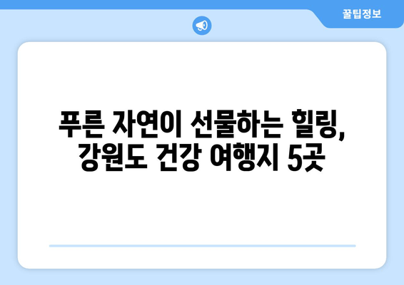 강원도 건강 여행 | 마음과 몸을 재충전하는 힐링 여정 5곳 | 자연 속에서 쉼을 찾다