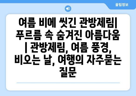 여름 비에 씻긴 관방제림| 푸르름 속 숨겨진 아름다움 | 관방제림, 여름 풍경, 비오는 날, 여행