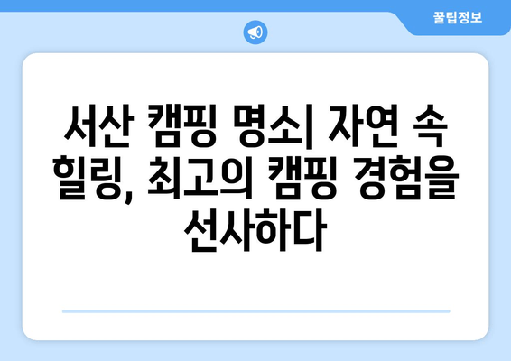 충남 서산군 캠핑장 주변 정보 완벽 가이드 | 캠핑 명소, 맛집, 즐길거리 총정리