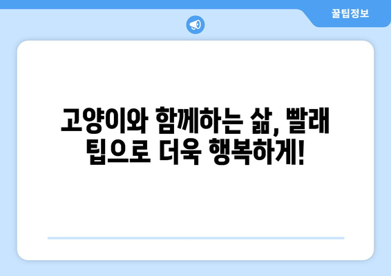 고양이와 빨래, 트위터에서 공유된 꿀팁 모음 | 고양이 털 제거, 빨래 팁, 고양이와 함께하는 삶