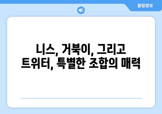 니스 거북이가 트위터에서 포착한 일상의 섬광| 잊을 수 없는 순간들 | 니스, 거북이, 트위터, 일상, 섬광, 사진, 이야기