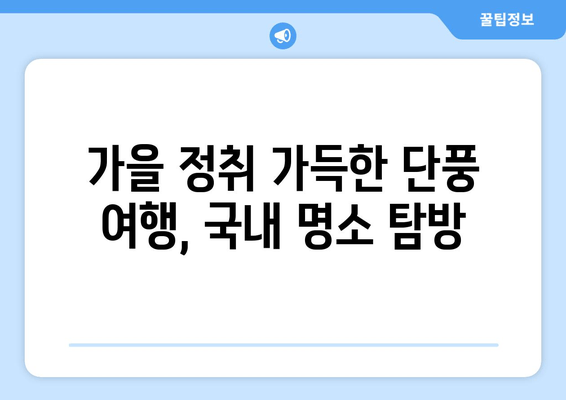 가을 단풍나무의 숨 막힐 듯한 아름다움| 한국의 단풍 명소 10곳 | 단풍 여행, 가을 여행, 국내 여행, 단풍 명소 추천