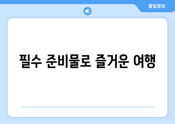 필수 준비물로 즐거운 여행