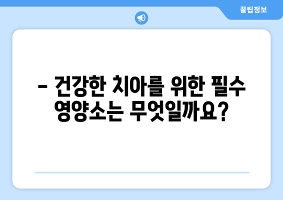 치아와 잇몸 건강을 위한 영양제 완벽 가이드 | 잇몸 건강, 치아 건강, 영양제 추천, 효과적인 방법