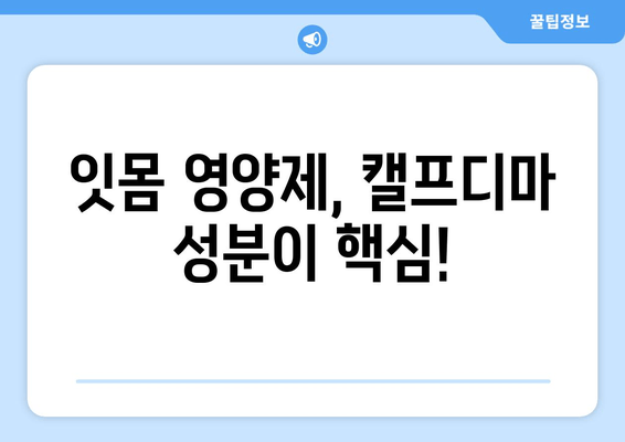 잇몸 건강 지키는 힘! 캘프디마 성분 잇몸 영양제 추천 | 잇몸 건강, 잇몸 영양제, 캘프디마, 추천