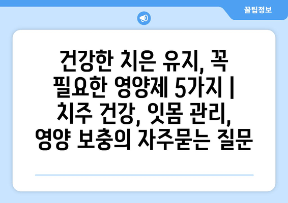 건강한 치은 유지, 꼭 필요한 영양제 5가지 | 치주 건강, 잇몸 관리, 영양 보충