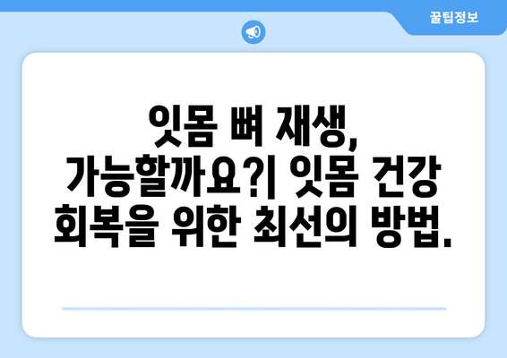 잇몸 뼈 손실 예방| 치주 관리와 잇몸 관리를 위한 완벽 가이드 | 잇몸 건강, 잇몸 염증, 치주 질환 예방, 잇몸 뼈 재생