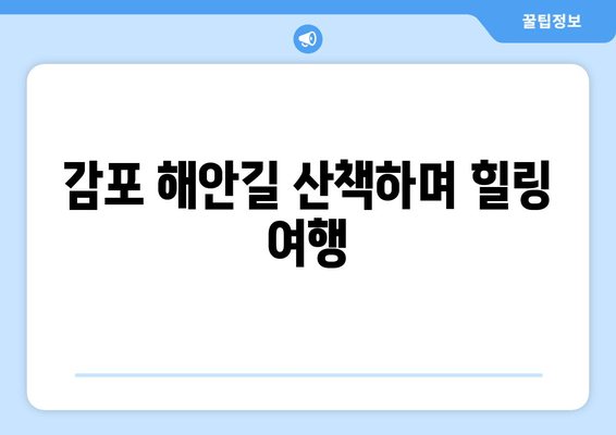 감포 해안길 산책하며 힐링 여행