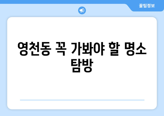 영천동 꼭 가봐야 할 명소 탐방