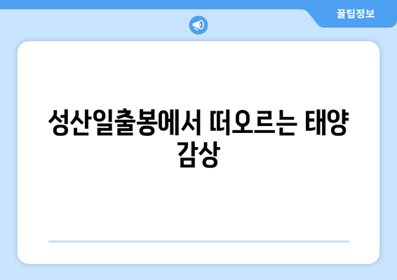 성산일출봉에서 떠오르는 태양 감상