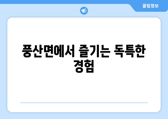 풍산면에서 즐기는 독특한 경험