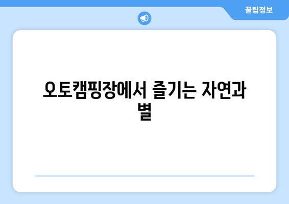 오토캠핑장에서 즐기는 자연과 별