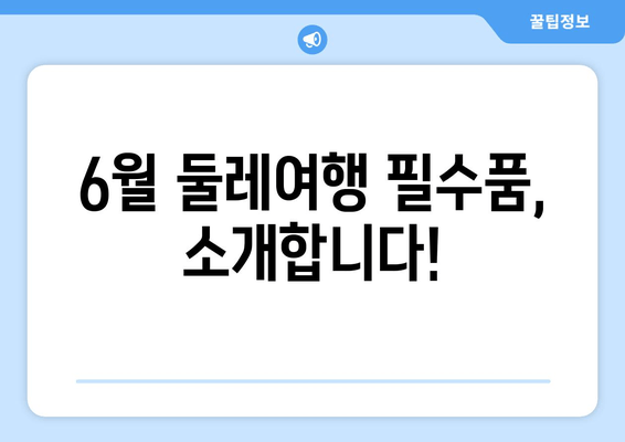 6월 둘레여행 필수품, 소개합니다!