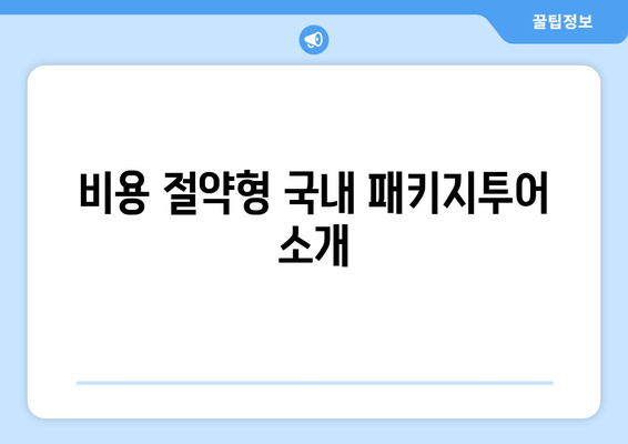 비용 절약형 국내 패키지투어 소개