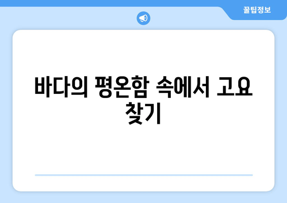 바다의 평온함 속에서 고요 찾기