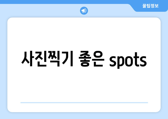 사진찍기 좋은 spots