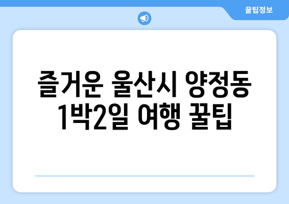 즐거운 울산시 양정동 1박2일 여행 꿀팁