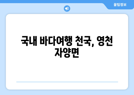 국내 바다여행 천국, 영천 자양면