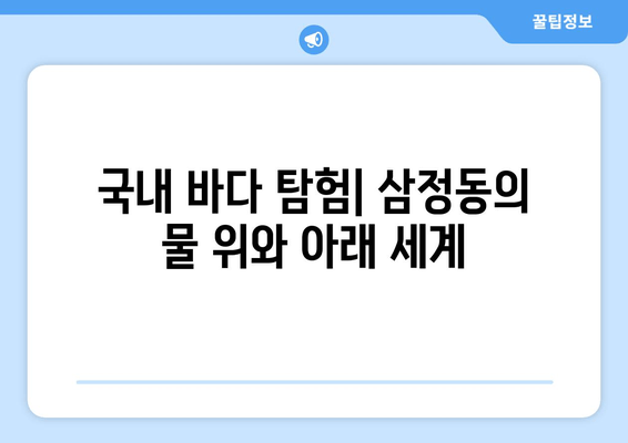 국내 바다 탐험| 삼정동의 물 위와 아래 세계