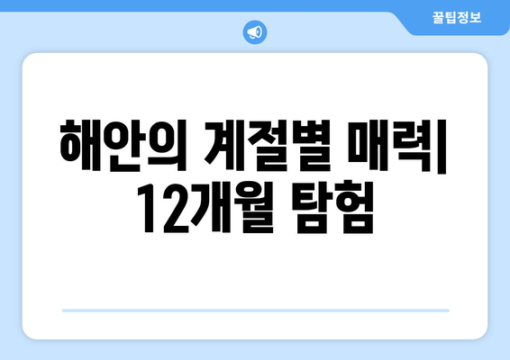 해안의 계절별 매력| 12개월 탐험