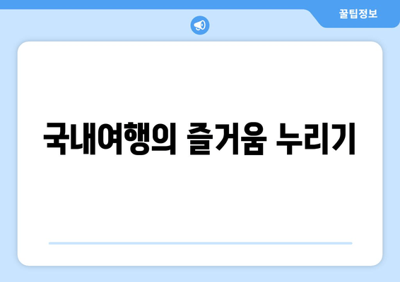 국내여행의 즐거움 누리기