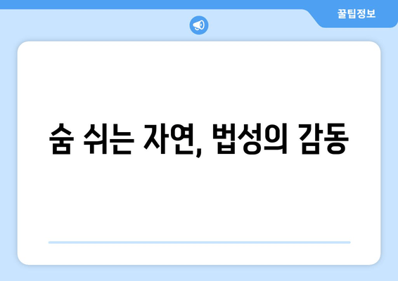 숨 쉬는 자연, 법성의 감동