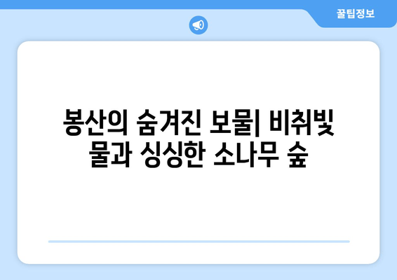 봉산의 숨겨진 보물| 비취빛 물과 싱싱한 소나무 숲