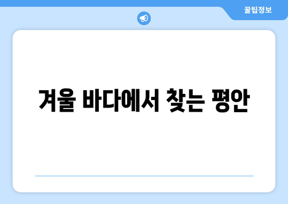 겨울 바다에서 찾는 평안