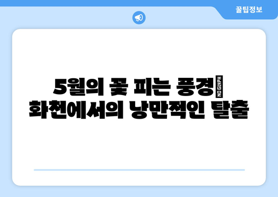 5월의 꽃 피는 풍경| 화천에서의 낭만적인 탈출