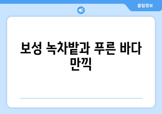 보성 녹차밭과 푸른 바다 만끽