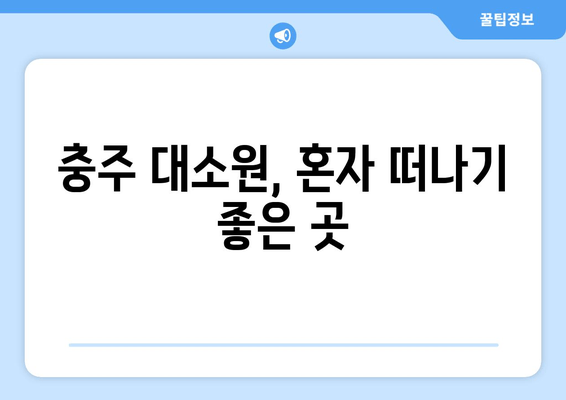 충주 대소원, 혼자 떠나기 좋은 곳