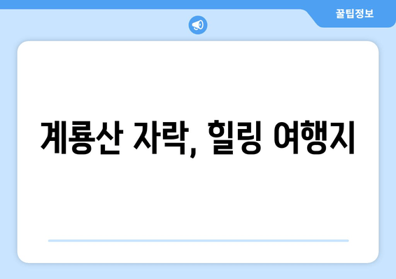 계룡산 자락, 힐링 여행지