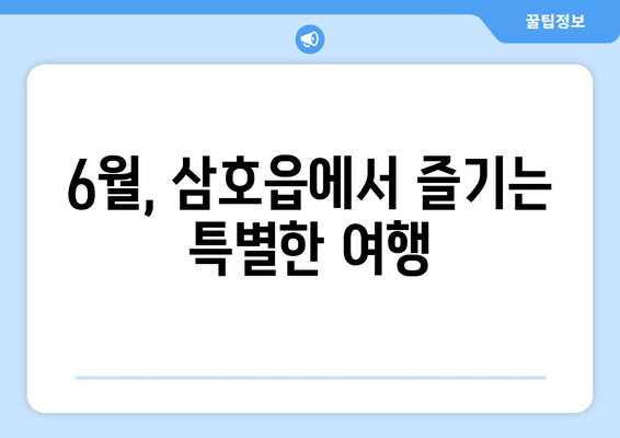 6월, 삼호읍에서 즐기는 특별한 여행