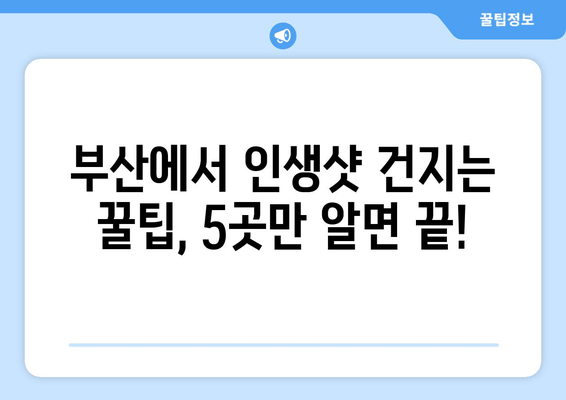 부산 현지인 추천! 인생샷 보장하는 📸 사진 명소 5곳 | 부산 여행, 인생샷, 사진 촬영, 가볼만한 곳