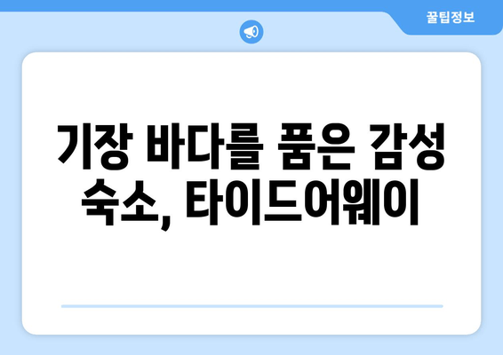 기장 바다를 한눈에! 오션뷰 수영장 펜션, 타이드어웨이 | 부산 기장, 펜션 추천, 여름 휴가