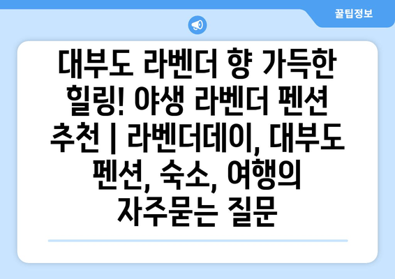 대부도 라벤더 향 가득한 힐링! 야생 라벤더 펜션 추천 | 라벤더데이, 대부도 펜션, 숙소, 여행