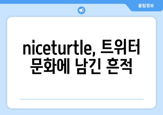 niceturtle 트위터의 유산| 트윗이 남긴 영향 | 밈, 커뮤니티, 그리고 변화