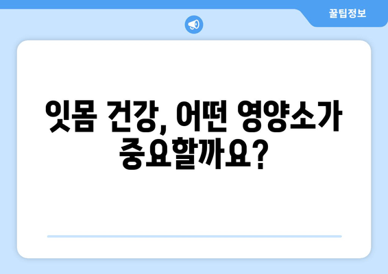 잇몸 내려앉음, 영양소로 되돌릴 수 있을까요? | 잇몸 건강, 잇몸 내려앉음 완화, 영양소 섭취