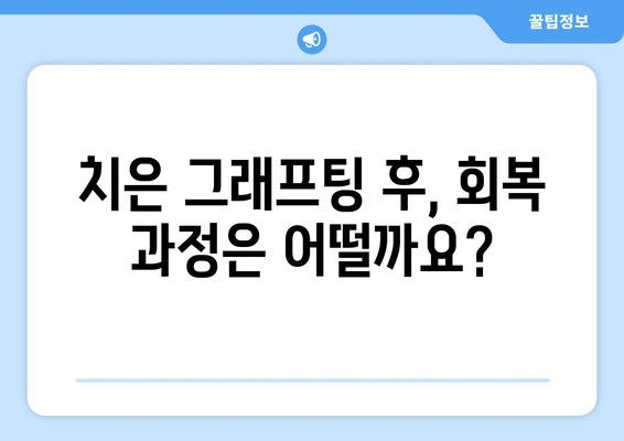 잇몸 재생의 희망, 치은 그래프팅| 효과와 과정 | 잇몸 질환, 치료, 치과