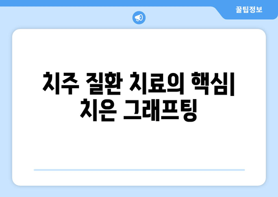 치은 그래프팅| 잇몸 감소와 충치 예방의 최고 수단 | 잇몸 재생, 치주 질환, 치과 시술