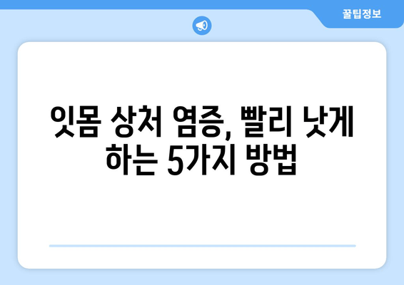 잇몸 상처 염증, 피 탈출기| 붓기, 통증, 출혈 완화를 위한 5단계 해결책 | 잇몸 건강, 염증 치료, 잇몸 상처