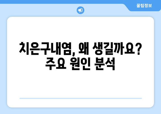 치은구내염 원인 파헤치기| 자주 발생하는 문제 해결 위한 완벽 가이드 | 치은구내염, 원인, 증상, 치료, 예방