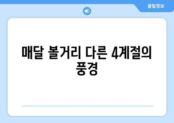 매달 볼거리 다른 4계절의 풍경