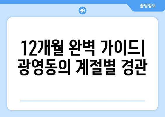 12개월 완벽 가이드| 광영동의 계절별 경관